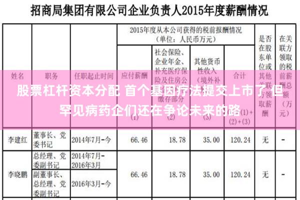 股票杠杆资本分配 首个基因疗法提交上市了 但罕见病药企们还在争论未来的路