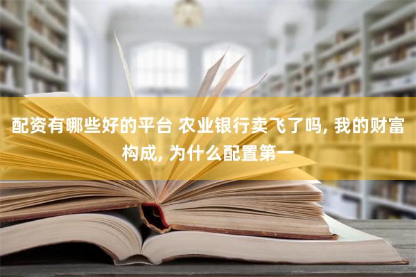 配资有哪些好的平台 农业银行卖飞了吗, 我的财富构成, 为什么配置第一