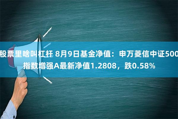 股票里啥叫杠杆 8月9日基金净值：申万菱信中证500指数增强A最新净值1.2808，跌0.58%