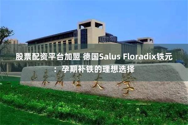 股票配资平台加盟 德国Salus Floradix铁元：孕期补铁的理想选择