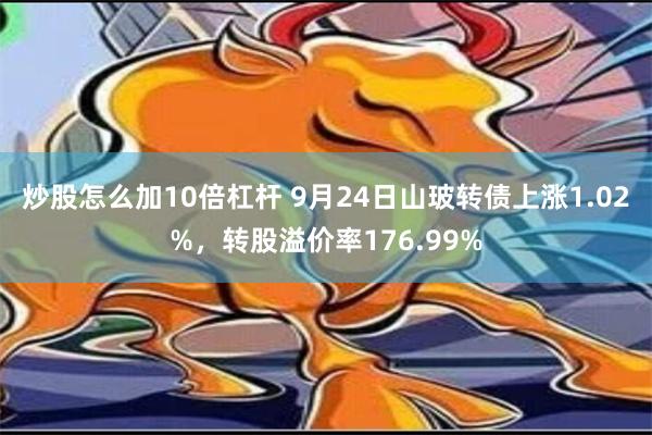 炒股怎么加10倍杠杆 9月24日山玻转债上涨1.02%，转股溢价率176.99%