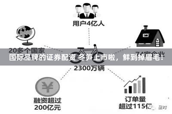 国际品牌的证券配资 冬笋上市啦，鲜到掉眉毛！