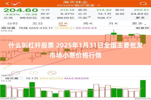 什么叫杠杆股票 2025年1月31日全国主要批发市场小葱价格行情